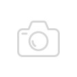 Tomcat启动报错：Client does not support authentication protocol requested by server; consider upgrading MySQL client